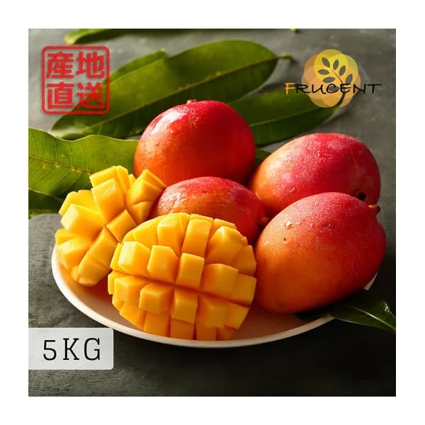 台灣愛文芒果|愛文マンゴー|台湾マンゴー|IRWIN MANGO|5kg( 約8~14玉 ))|予約販売中 1