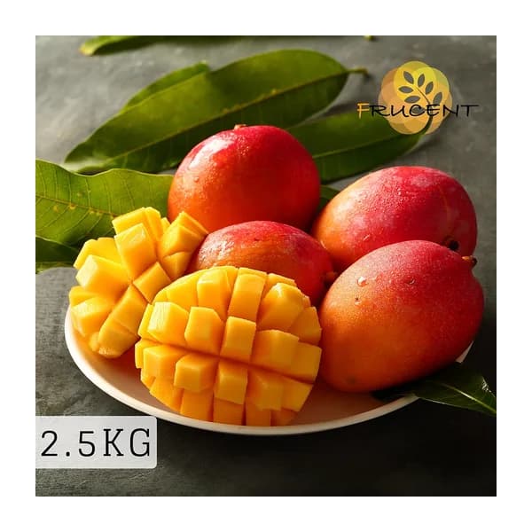 台灣愛文芒果|愛文マンゴー|台湾マンゴー|IRWIN MANGO|2.5kg( 約4~7玉 ))|予約販売中 2