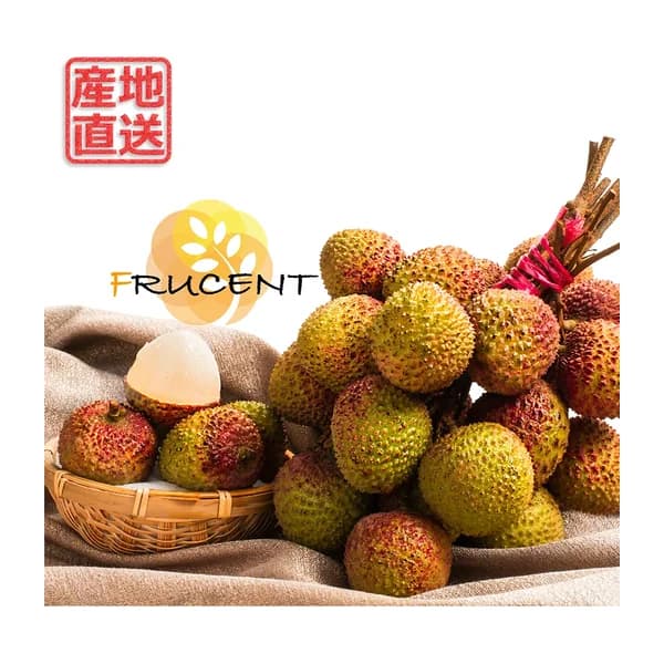 台灣愛文芒果|愛文マンゴー|台湾マンゴー|IRWIN MANGO|5kg( 約8~14玉 ))|予約販売中 4